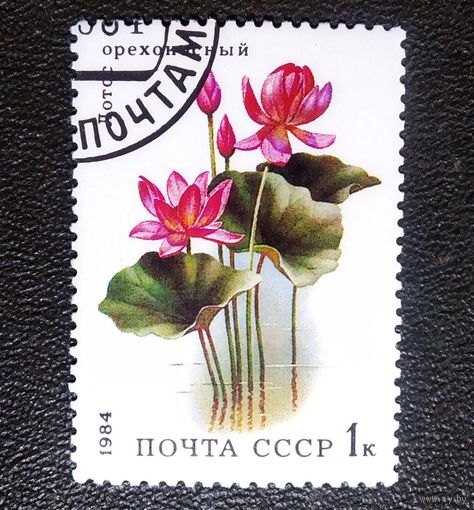 Марка СССР 1984 Водные растения