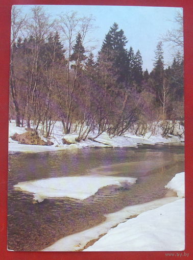 Весна. Чистая. 1989 года. Листопадова. 1346.