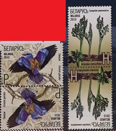 Красная книга.Гроздовник ромашколистный. Сизоворонка (сцепка) 2013 год Беларусь (м)