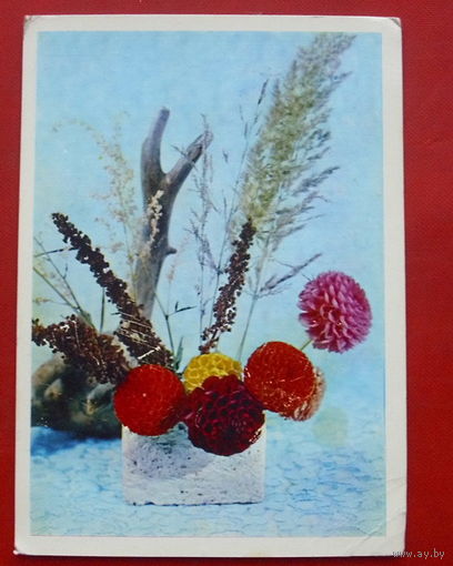 Композиция из цветов. 1975 года. Чистая. 941.