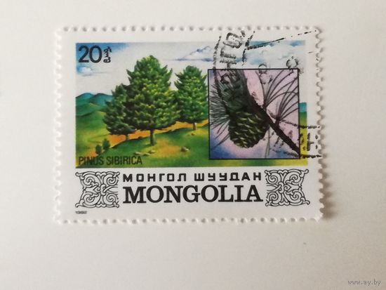 Монголия 1982. Деревья Монголии.