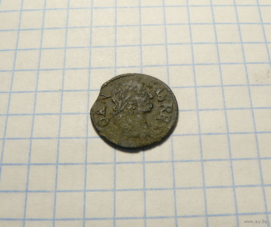 Боратинка 1666