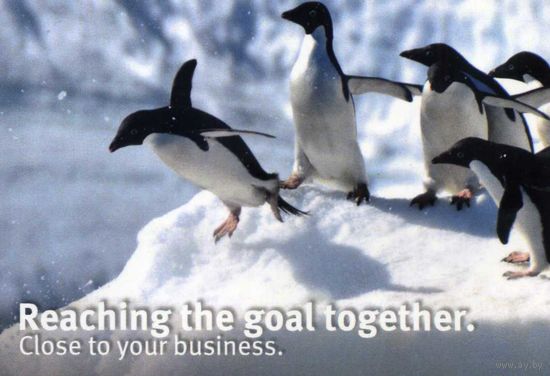 Календарик карманный Закроем Ваш бизнес 2025(пингвины)