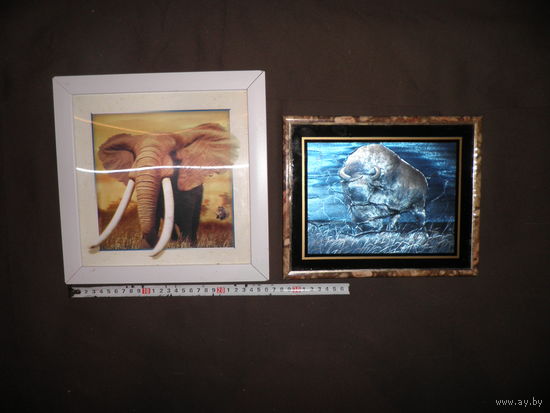 Картины Слон и Зубр металлографика.С рубля.