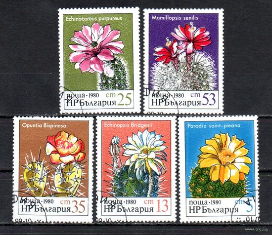 Цветы кактусов Болгария 1980 год серия из 5 марок