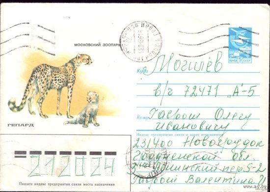 1985 год А.Исаков Гепард 8 85-42