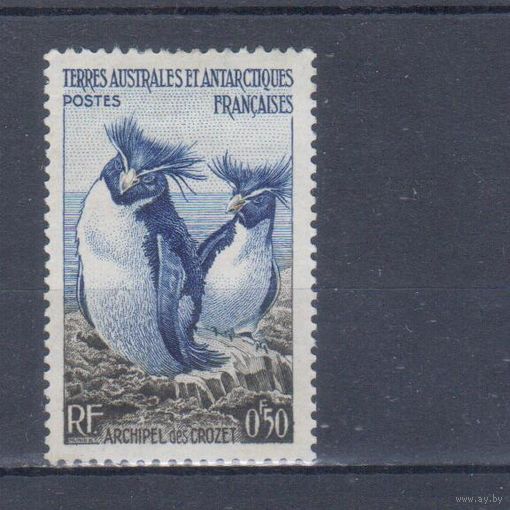[1303] Французские колонии. Французские антарктические территории 1956. Фауна.Птицы.Пингвины. БЕЗ КЛЕЯ.