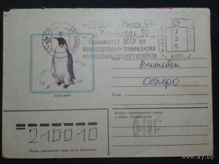 1983 пингвин прошло почту