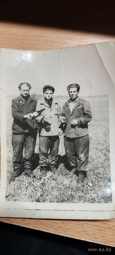 Фотография.