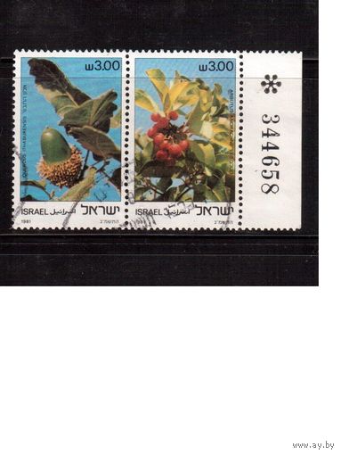 Израиль-1981(Мих.868-869) ,  гаш.  , Флора, Цветы,