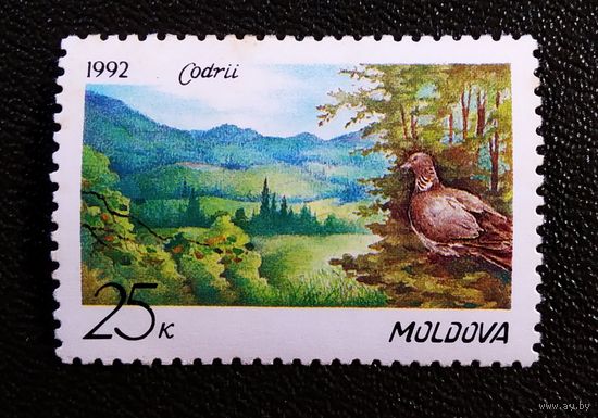 Марка Молдова 1992 год Заповедник Кодры