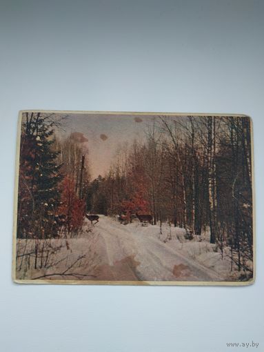 Открытка (почтовая карточка) "Зимняя дорога. Беловежская пуща", БССР, изд-во "Звязда"