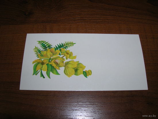 Цветы 1979 год Мини Латвия Рига чистая