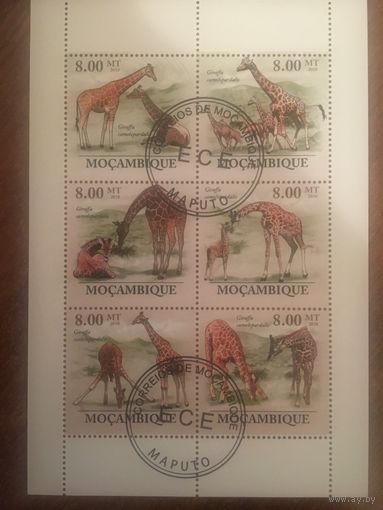 Мозамбик 2010. Жираф (блок)