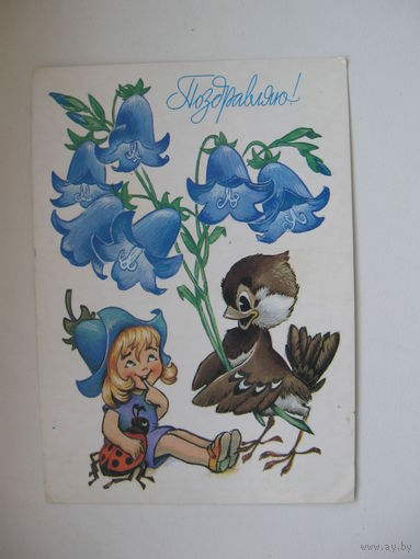 Четвериков В. 1987г.