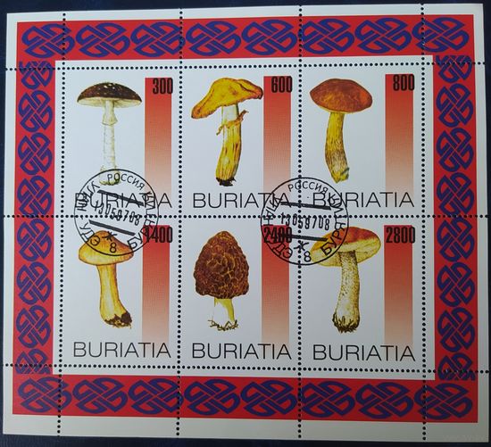 BURIATIA 1997 Грибы