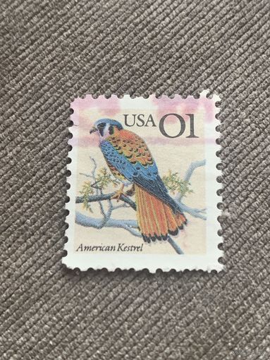 США. Фауна. Птицы. American Kestrel