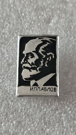 Значок знак И.П.Павлов