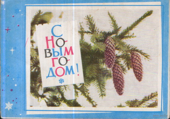 Подписанная открытка 1966г. БССР "С Новым годом! Ветка ели" худ. В. Хоревский