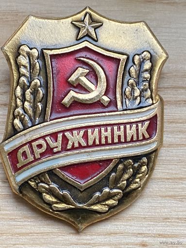 ДРУЖИННИК