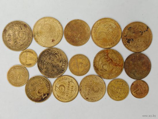Монета 1 копейка, 2 копейки, 3 копейки, 5 копеек. 1924-1957 гг. Одним лотом 16 монет. С рубля.