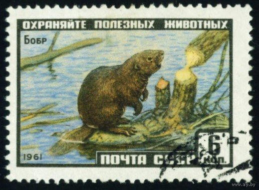 Фауна СССР 1961 год 1 марка