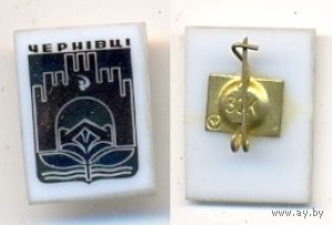 Черновцы. Серия – стекло в пластмассе.