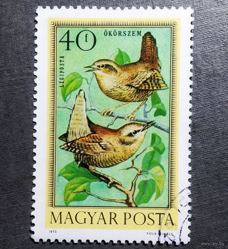 Марка Венгрия 1973 год Птицы