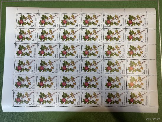 Лист марок СССР роза иглистая 1985 год