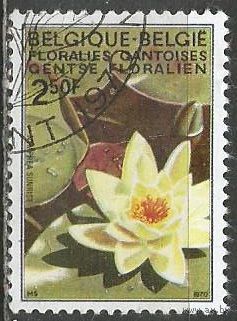 Бельгия. Выставка цветов. Кувшинка. 1970г. Mi#1581.