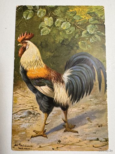 Открытка красивая. Германия. Самое начало 1900-х. (2)