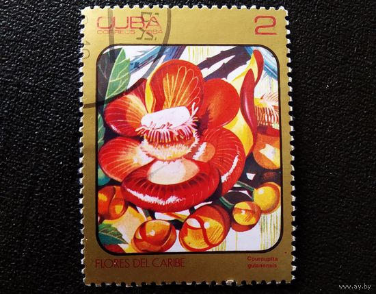 Марка Куба 1984 год Цветы