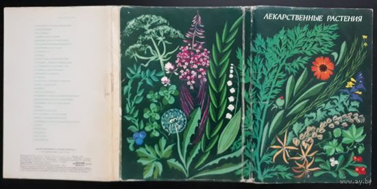 Комплект из 32 больших открыток (полный) Лекарственные растения 1976 Выпуск 1 Шипиленко