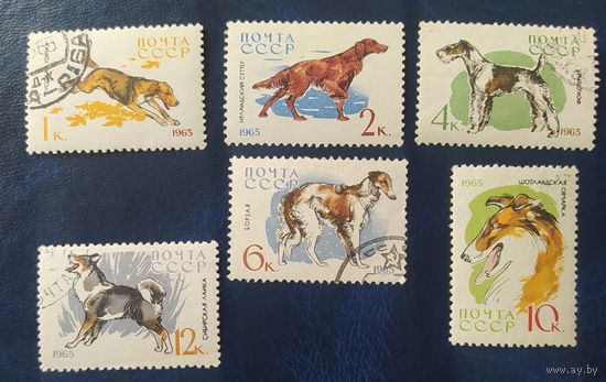 СССР 1965 собаки 6 из 8.