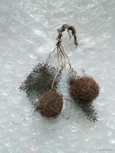 Вишня,черешня на ветке.Москабель. каталог