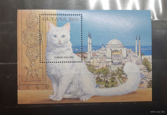 Гайана. Фауна. Кошки. Турецкая ангора. Блок (746)