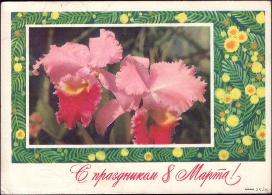 1976 год П.Смоляков С праздником 8 марта!