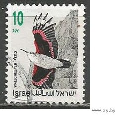 Израиль. Птицы. Краснокрылый скалолаз. 1992г. Mi#1248.