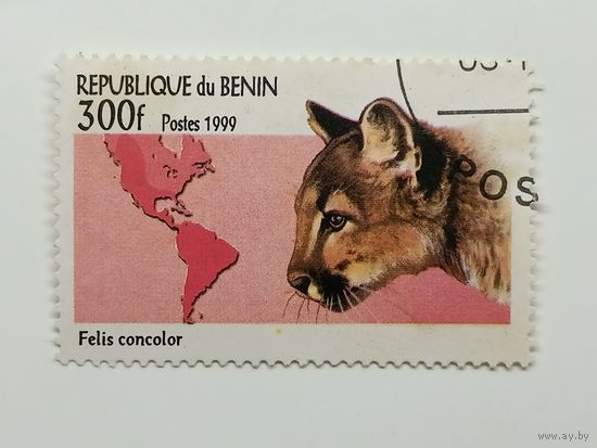 Бенин 1999. Большие кошки. Пума