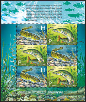 Беларусь. 2011. Рыбы. Малый лист