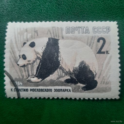 СССР 1964. Фауна. Панда. Марка из серии