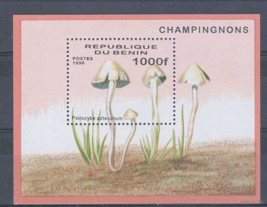 [1817] Бенин 1996. Грибы. БЛОК MNH