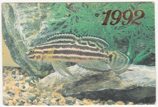 Календарик 1992 (195)