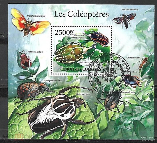 ЛИСТ ФАУНА животные  СТО