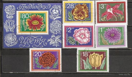 ФФ2 Болгария Цветы гаш