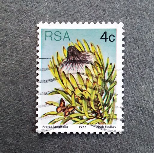 Марка Южная Африка 1977 год