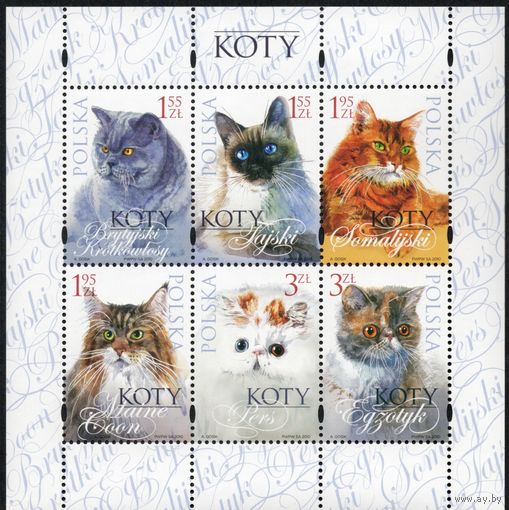 Польша 2010. Коты. Mi 4467-72. Блок 191