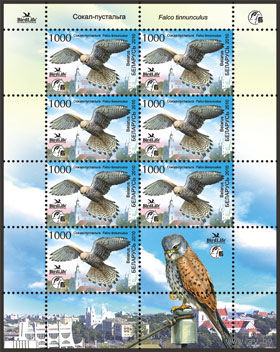 Малый лист "Обыкновенная пустельга (7м + купон)"