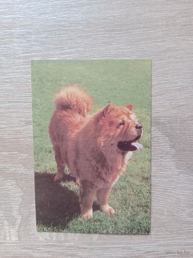 Календарик 1993