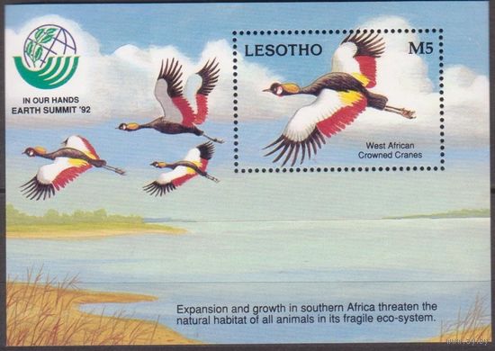1993 Лесото 1013/B97 Птицы 6,50 евро